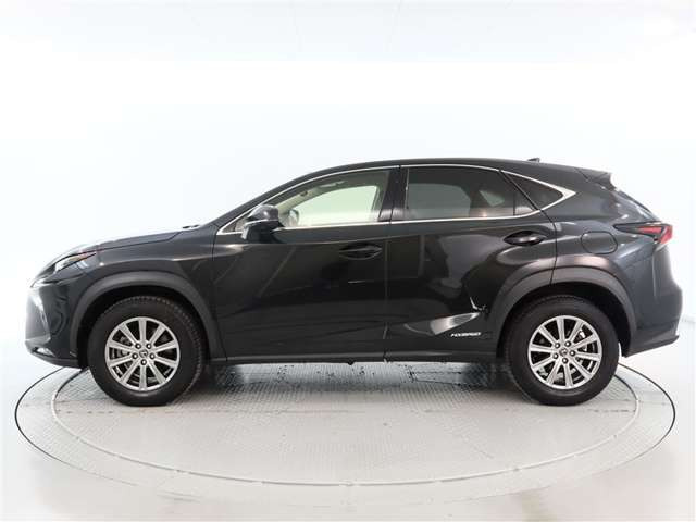 NX300h Iパッケージ