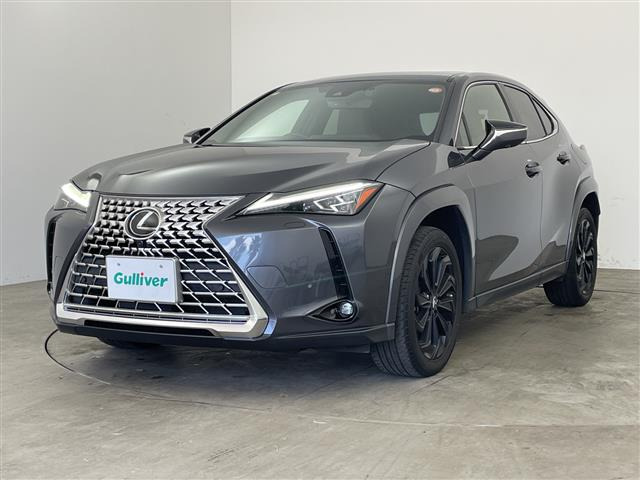 UX250h グレイスフル エクスプローラー