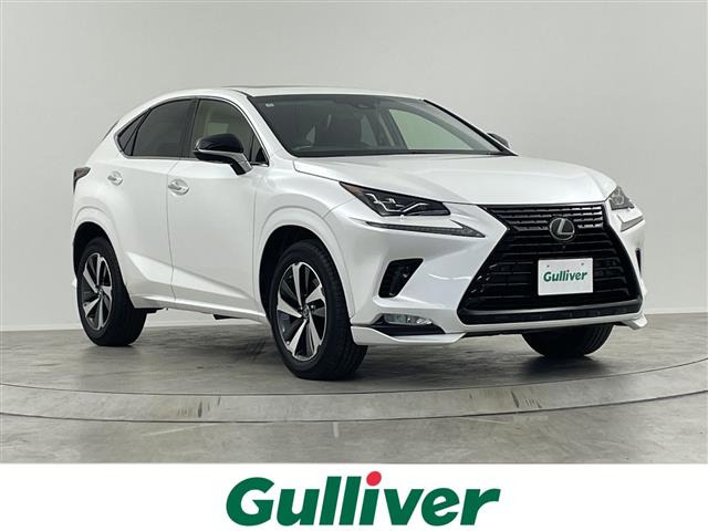 NX300 ブラック シークエンス