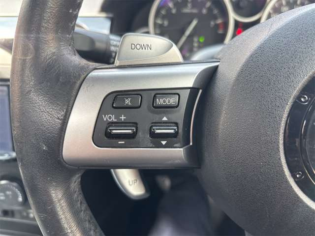 �}�j���A�����o���킦�܂��p�h���V�t�g