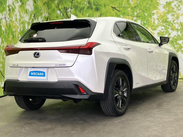 UX250h バージョンC