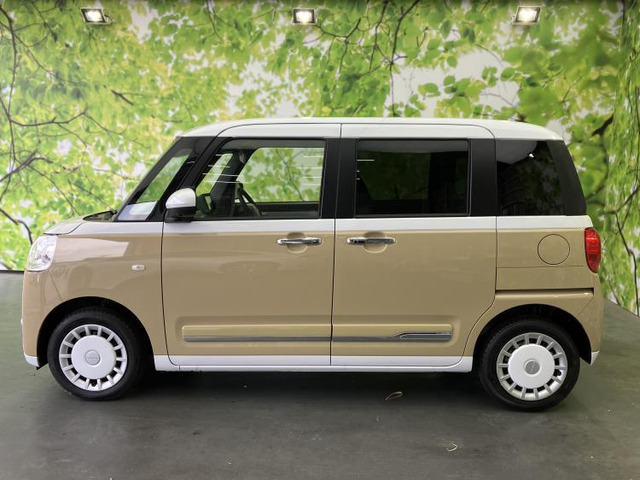 ムーヴキャンバスストライプス G