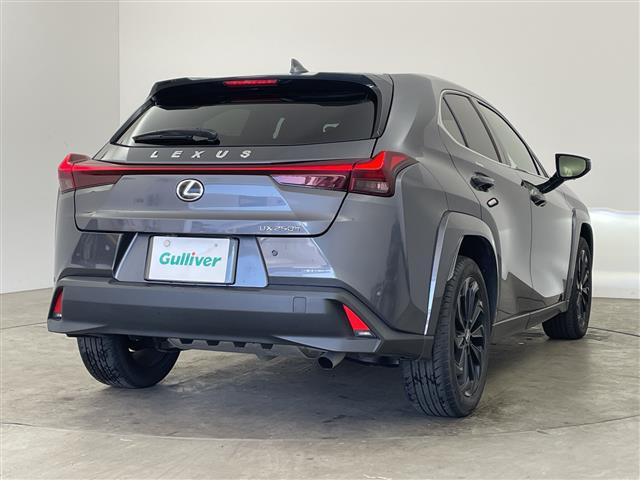 UX250h グレイスフル エクスプローラー