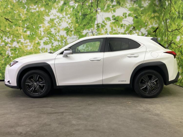 UX250h バージョンC