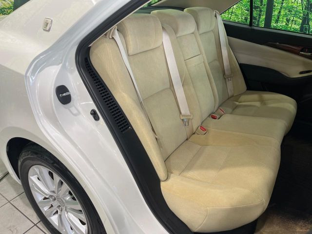 �㕔���Ȃ��C�ɂȂ�悤�ȃL�Y�E�����ւ��蓙�A�傫�ȃ_���[�W�͂Ȃ��A�ǍD�ȏ�Ԃł��B