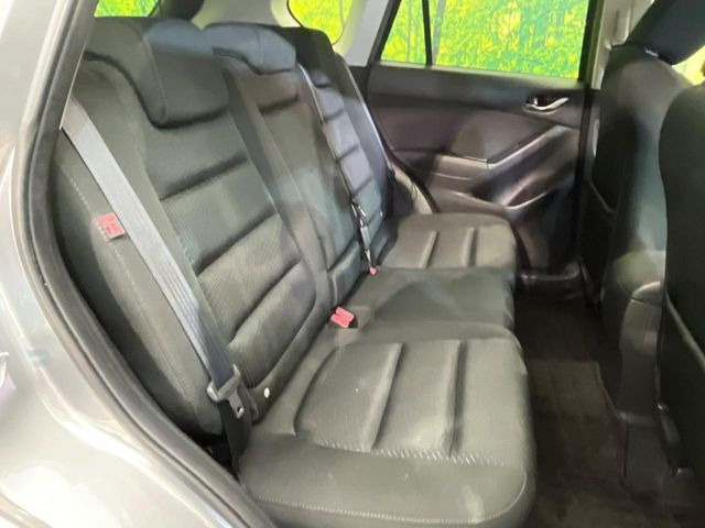 �㕔���Ȃ��C�ɂȂ�悤�ȃL�Y�E�����ւ��蓙�A�傫�ȃ_���[�W�͂Ȃ��A�ǍD�ȏ�Ԃł��B