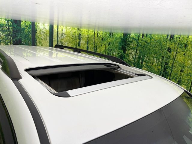 �y�T�����[�t�z�J���������Ղ�̊󏭑����A�T�����[�t����������Ă��܂�!�ԓ��ɖ�����������ꂽ��i�F���y���ވȊO�ɂ��A�ԓ��̋�C���ȒP�Ɋ��C�ł��ĉ��K�ł�!