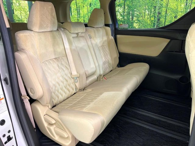 �㕔���Ȃ��C�ɂȂ�悤�ȃL�Y�E�����ւ��蓙�A�傫�ȃ_���[�W�͂Ȃ��A�ǍD�ȏ�Ԃł��B