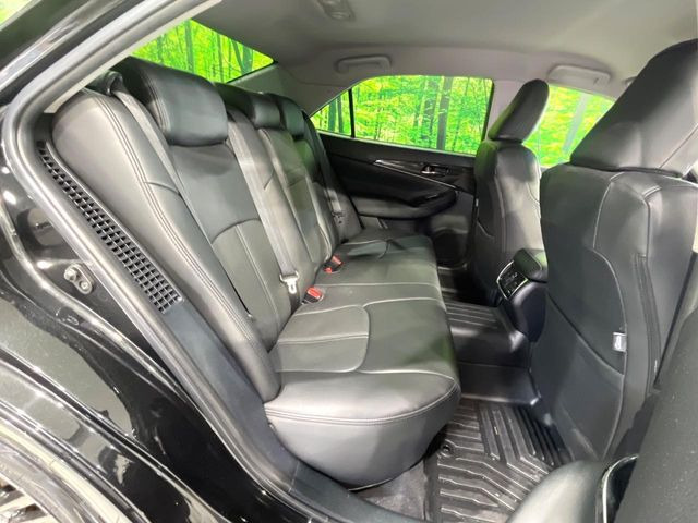 �㕔���Ȃ��C�ɂȂ�悤�ȃL�Y�E�����ւ��蓙�A�傫�ȃ_���[�W�͂Ȃ��A�ǍD�ȏ�Ԃł��B