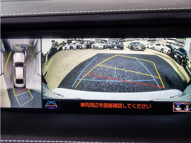 360�x�S���̓J�����p�m���~�b�N�r���[���j�^�[!