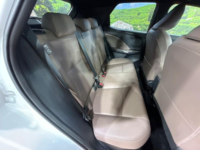 �㕔���Ȃ��C�ɂȂ�悤�ȃL�Y�E�����ւ��蓙�A�傫�ȃ_���[�W�͂Ȃ��A�ǍD�ȏ�Ԃł��B