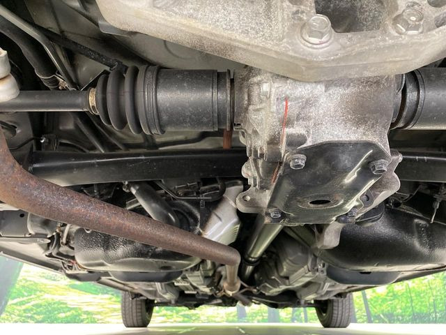 ����肪���ꂢ�Ȃ����ɁA�h�K���H�̎{�H���I�X�X���B�~��n��͂������A���ݕ��ɂ��Z���̕���A��Ń}�����E�E�B���^�[�X�|�[�c���������ɂ��D�]���������Ă���܂��B