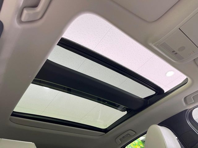 �y�T�����[�t�z�J���������Ղ�̊󏭑����A�T�����[�t����������Ă��܂�!�ԓ��ɖ�����������ꂽ��i�F���y���ވȊO�ɂ��A�ԓ��̋�C���ȒP�Ɋ��C�ł��ĉ��K�ł�!