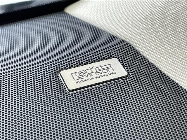 NX300h バージョンL