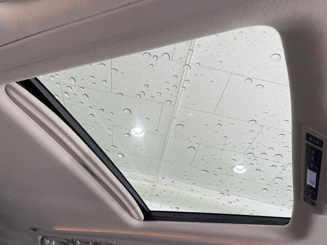 �y�T�����[�t�z�J���������Ղ�̊󏭑����A�T�����[�t����������Ă��܂�!�ԓ��ɖ�����������ꂽ��i�F���y���ވȊO�ɂ��A�ԓ��̋�C���ȒP�Ɋ��C�ł��ĉ��K�ł�!