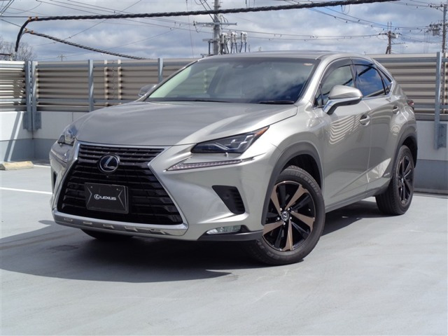 NX300h バージョンL