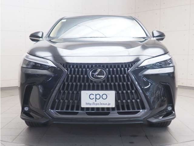 NX250 バージョンL