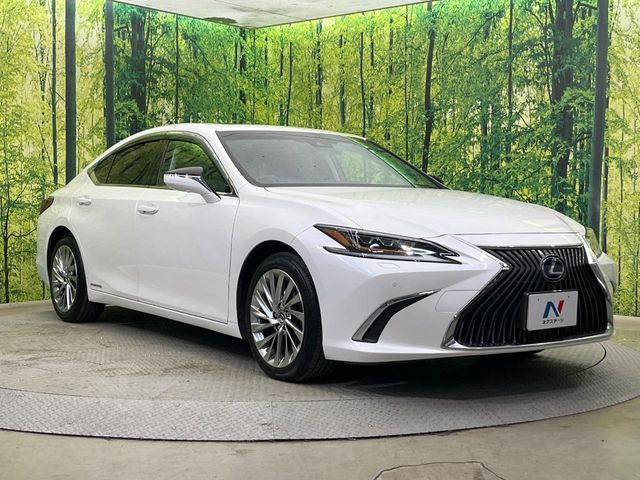 �������x�̃K���X�疌�ŝ����͂������A�㎿�ȃc���E����������B���O����_���J�����؂Ȉ��Ԃ�ی삵�A�F�����E�򉻂�h�~�B�u�e�X�v���b�V���R�[�g�v�A�u�e�v���~�b�T�R�[�g�v���炨�I�т��������܂��B