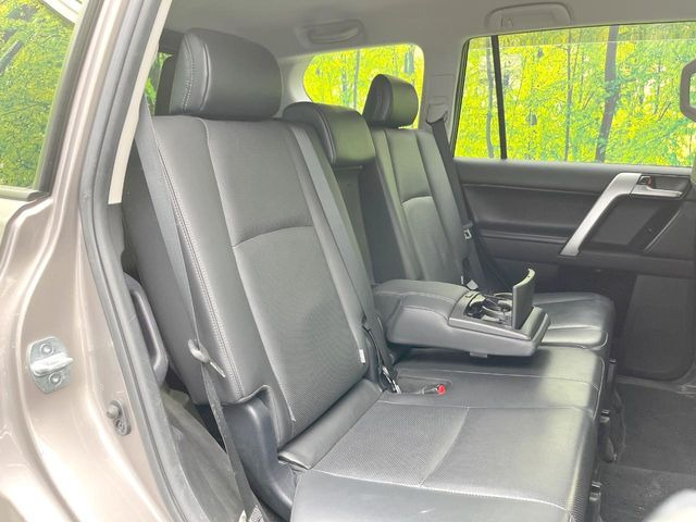 �㕔���Ȃ��C�ɂȂ�悤�ȃL�Y�E�����ւ��蓙�A�傫�ȃ_���[�W�͂Ȃ��A�ǍD�ȏ�Ԃł��B