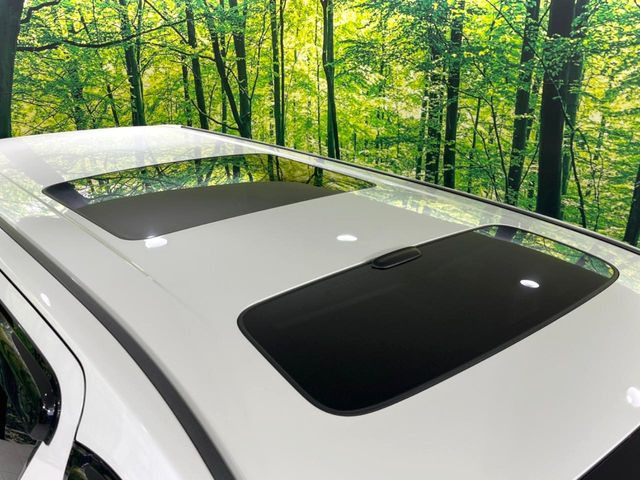 �y�T�����[�t�z�J���������Ղ�̊󏭑����A�T�����[�t����������Ă��܂�!�ԓ��ɖ�����������ꂽ��i�F���y���ވȊO�ɂ��A�ԓ��̋�C���ȒP�Ɋ��C�ł��ĉ��K�ł�!