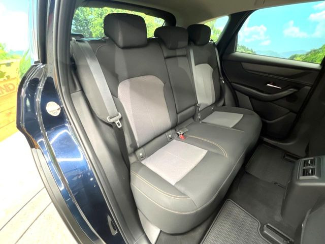 �㕔���Ȃ��C�ɂȂ�悤�ȃL�Y�E�����ւ��蓙�A�傫�ȃ_���[�W�͂Ȃ��A�ǍD�ȏ�Ԃł��B