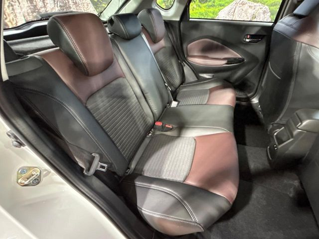 �㕔���Ȃ��C�ɂȂ�悤�ȃL�Y�E�����ւ��蓙�A�傫�ȃ_���[�W�͂Ȃ��A�ǍD�ȏ�Ԃł��B