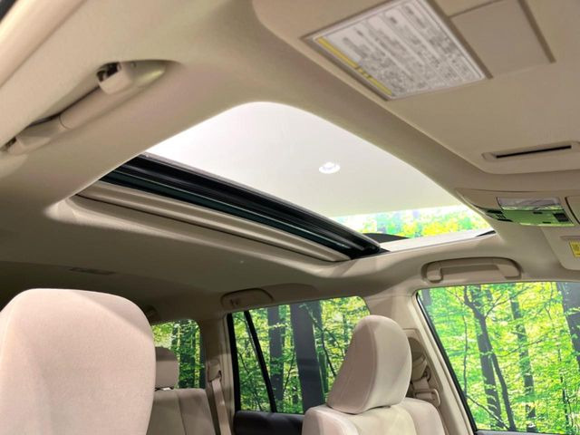 �y�T�����[�t�z�J���������Ղ�̊󏭑����A�T�����[�t����������Ă��܂�!�ԓ��ɖ�����������ꂽ��i�F���y���ވȊO�ɂ��A�ԓ��̋�C���ȒP�Ɋ��C�ł��ĉ��K�ł�!