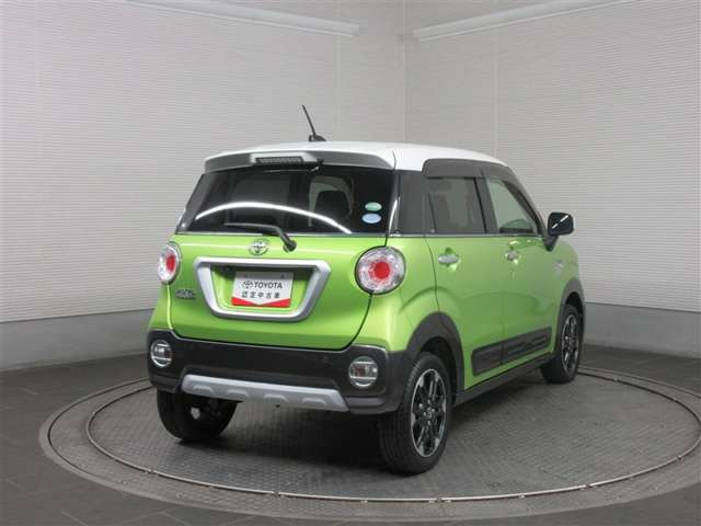 ピクシスジョイC G SAII