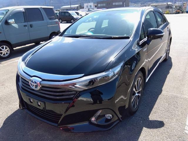 SAI2.4 G ヴィオラ