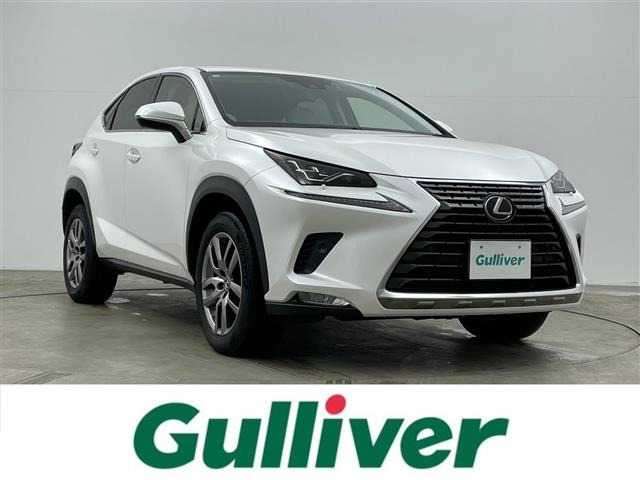 NX300 バージョンL