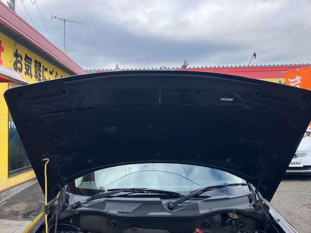 �G���W���t�[�h�������Y��ł�!!