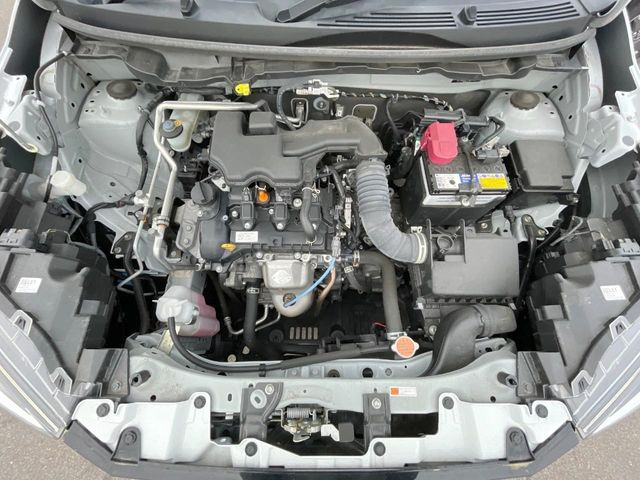 ����肪���ꂢ�Ȃ����ɁA�h�K���H�̎{�H���I�X�X���B�~��n��͂������A���ݕ��ɂ��Z���̕���A��Ń}�����E�E�B���^�[�X�|�[�c���������ɑ�ύD�]���������Ă���܂��B