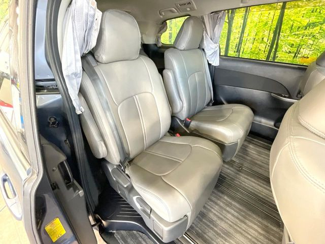 �㕔���Ȃ��C�ɂȂ�悤�ȃL�Y�E�����ւ��蓙�A�傫�ȃ_���[�W�͂Ȃ��A�ǍD�ȏ�Ԃł��B