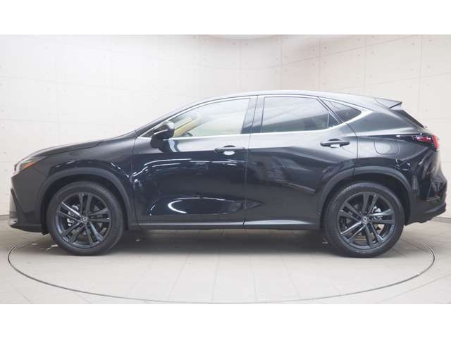 NX250 バージョンL