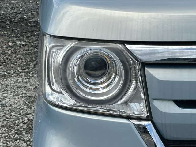 ���Ђ̂��Ԃ͑S�ԁy�C�����Ȃ��z�̂��Ԃ݂̂���舵�����Ă���܂��̂ŁA���S���ď��������Ԃɂ��C������������(���ꕔ�ԗ�������)