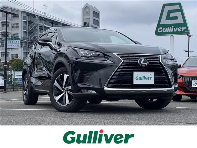 NX300 バージョンL