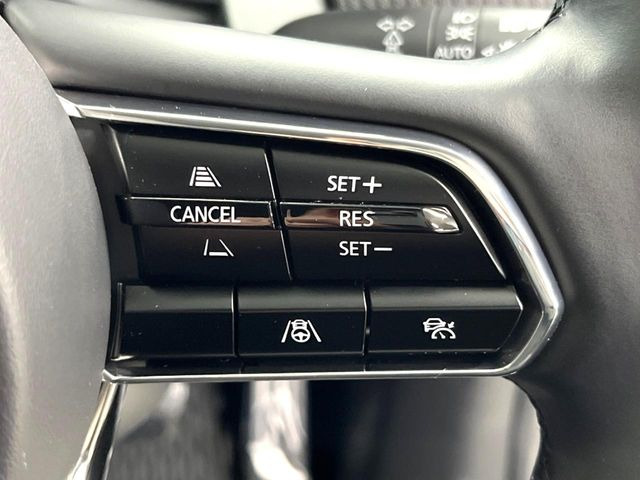 �y�}�c�_�E���[�_�[�N���[�Y�R���g���[���z�������H�ł̒��������s���y��!�����ő��x��ۂN���[�Y�R���g���[�����A�Փˌy���V�X�e���ƘA�g���A�O���̎ԗ������m���ĎԊԂ�ۂ悤�ɑ��x���߂��Ă���܂�!!