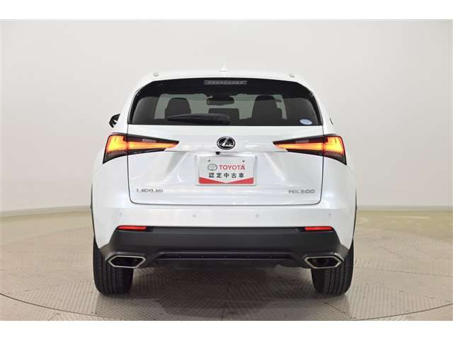 NX300 Iパッケージ