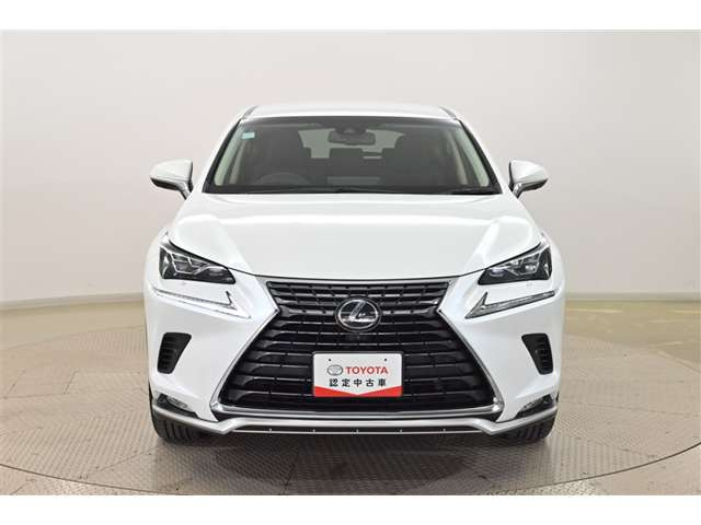 NX300 Iパッケージ