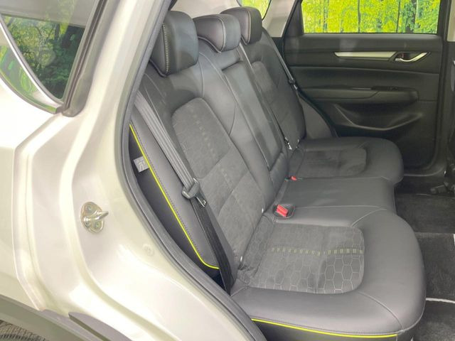 �㕔���Ȃ��C�ɂȂ�悤�ȃL�Y�E�����ւ��蓙�A�傫�ȃ_���[�W�͂Ȃ��A�ǍD�ȏ�Ԃł��B