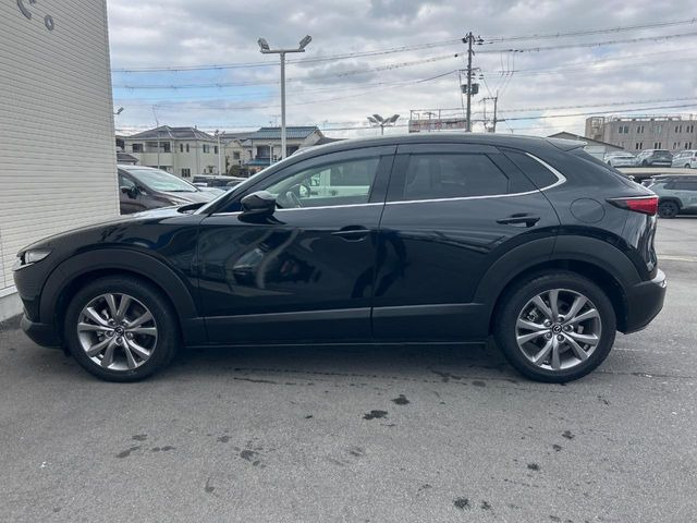 ���S���̃l�N�X�e�[�W���炨���񂹂��\��!�����̓X�܂ɓW�����Ă���N���}���C�ɂȂ�ꍇ���A�Ŋ��̓X�܂ł��������������Ƃ��\�ł�!���񎄂����ɗv�]������������������!���ʓr��p