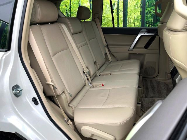 �㕔���Ȃ��C�ɂȂ�悤�ȃL�Y�E�����ւ��蓙�A�傫�ȃ_���[�W�͂Ȃ��A�ǍD�ȏ�Ԃł��B