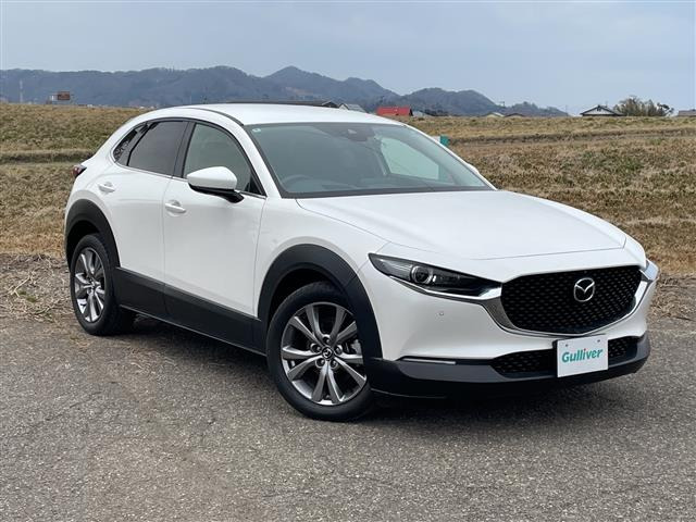 CX-301.8 XD プロアクティブ ツーリングセレクション 4WD