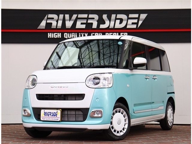 ムーヴキャンバスストライプス G