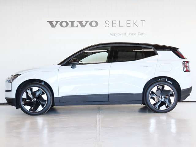 EX30ウルトラ シングルモーター エクステンデッド レンジ