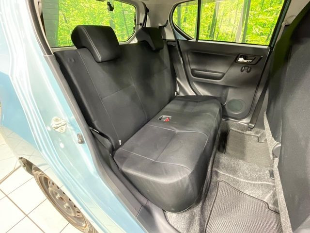 �㕔���Ȃ��C�ɂȂ�悤�ȃL�Y�E�����ւ��蓙�A�傫�ȃ_���[�W�͂Ȃ��A�ǍD�ȏ�Ԃł��B