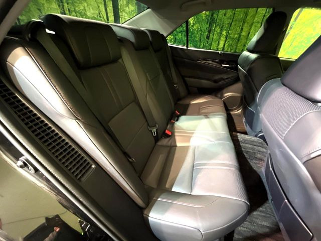 �㕔���Ȃ��C�ɂȂ�悤�ȃL�Y�E�����ւ��蓙�A�傫�ȃ_���[�W�͂Ȃ��A�ǍD�ȏ�Ԃł��B