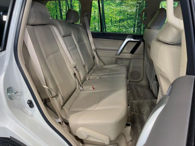 �㕔���Ȃ��C�ɂȂ�悤�ȃL�Y�E�����ւ��蓙�A�傫�ȃ_���[�W�͂Ȃ��A�ǍD�ȏ�Ԃł��B