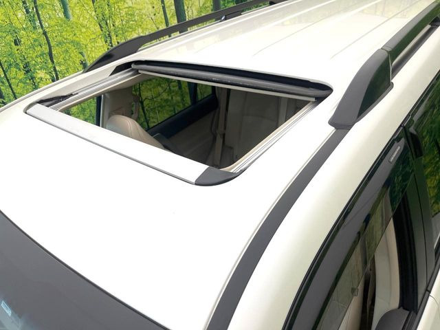 �y�T�����[�t�z�J���������Ղ�̊󏭑����A�T�����[�t����������Ă��܂�!�ԓ��ɖ�����������ꂽ��i�F���y���ވȊO�ɂ��A�ԓ��̋�C���ȒP�Ɋ��C�ł��ĉ��K�ł�!