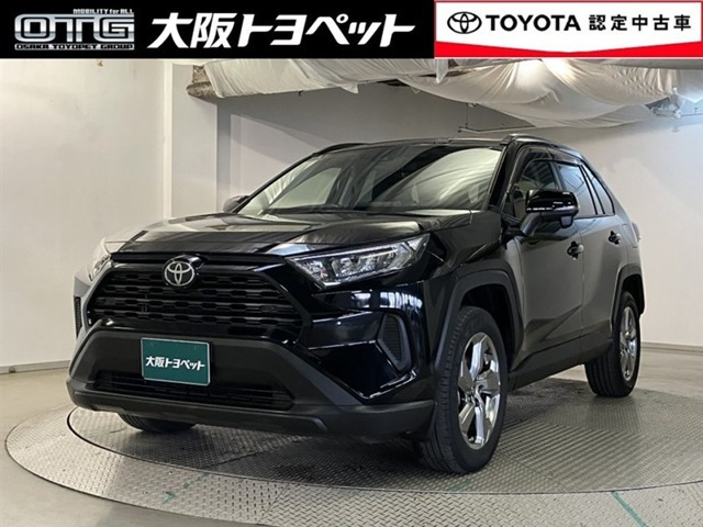 RAV42.0 X